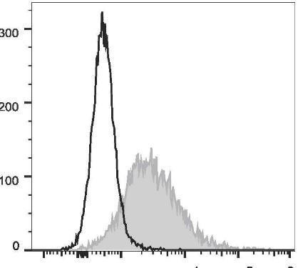 PE Anti-Mouse CD86 Antibody [GL-1] (AGEL0553)