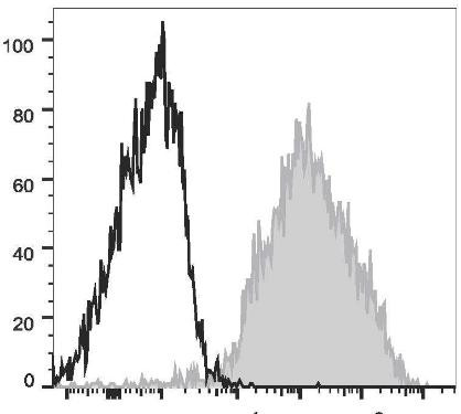 PE/Cyanine7 Anti-Mouse F4/80 Antibody [CI:A3-1] (AGEL0562)