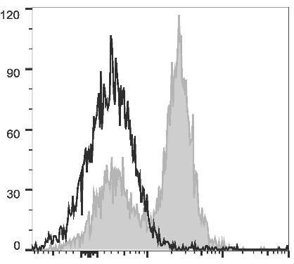 PerCP/Cyanine5.5 Anti-Mouse CD16/32 Antibody [2.4G2] (AGEL0584)