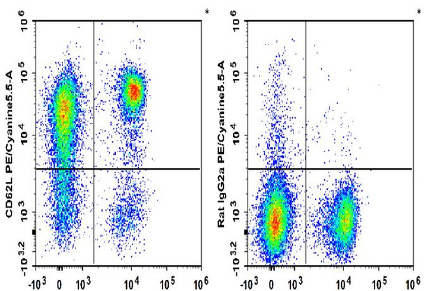 PE/Cyanine5.5 Anti-Mouse CD62L Antibody [Mel14] (AGEL0640)