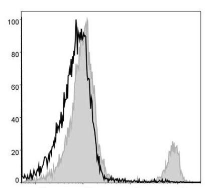 PerCP Anti-Mouse CD8a Antibody [53-6.7] (AGEL1339)