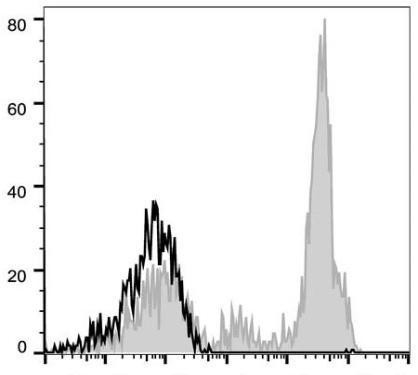 GenieFluor 647 Anti-Human CD11c Antibody [BU15] (AGEL1464)