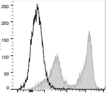 PE/Cyanine5.5 Anti-Mouse Ly-6G/Ly-6C (Gr-1) Antibody [RB6-8C5] (AGEL1485)