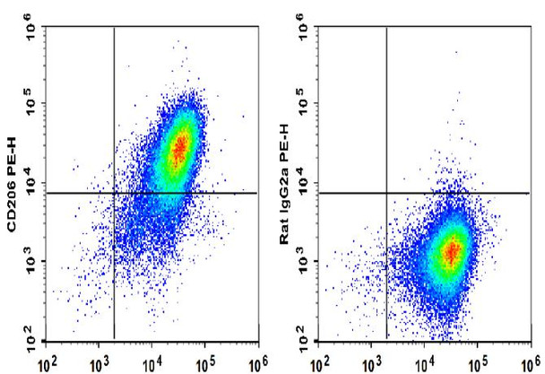 PE Anti-Mouse CD206 Antibody [C068C2] (AGEL1655)