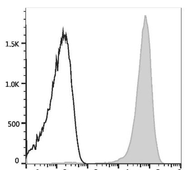 PE Anti-Mouse CD41 Antibody [MWReg30] (AGEL1943)