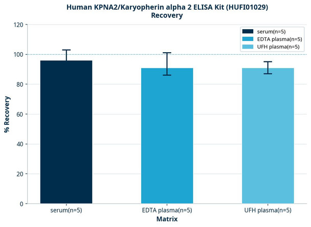 Human KPNA2/Karyopherin alpha 2 ELISA Kit (HUFI01029)