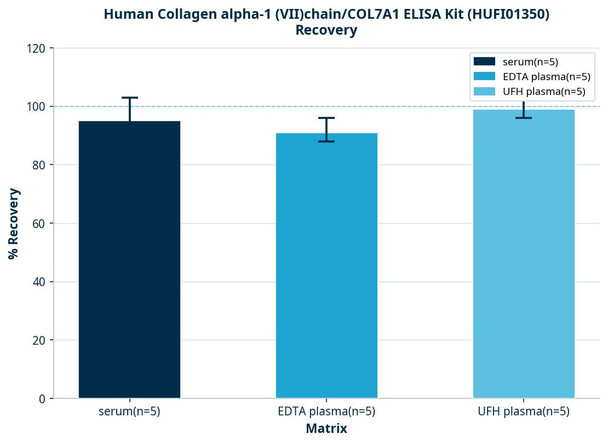 Human Collagen alpha-1 (VII)chain/COL7A1 ELISA Kit (HUFI01350)