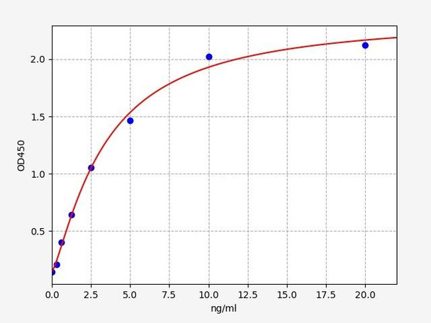 Human ATG5/Autophagy protein 5 ELISA Kit (HUFI01435)