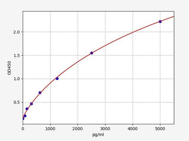 Human NDST2 ELISA Kit (HUFI01835)
