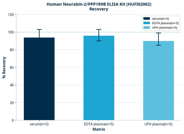 Human Neurabin-2/PPP1R9B ELISA Kit (HUFI02062)
