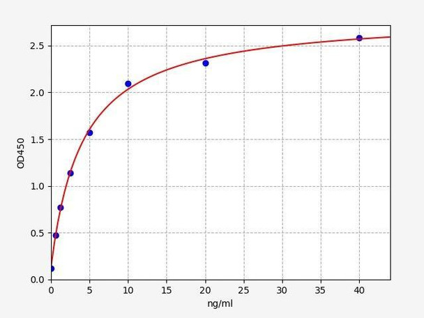 Human HLA G ELISA Kit (HUFI02628)
