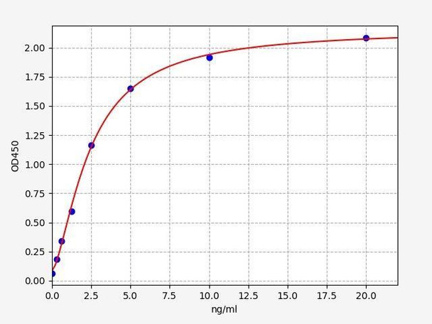 Rat Adenosine A3 Receptor/ADORA3 ELISA Kit (RTFI00555)