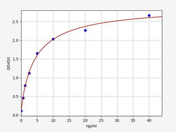 Rat C3a/Complement 3a ELISA Kit (RTFI00612)