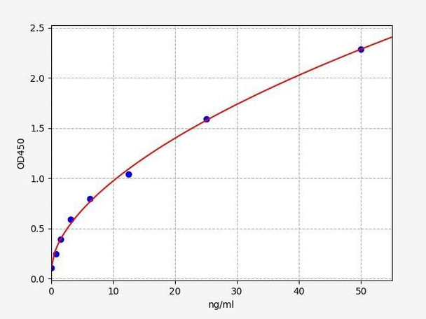 Rat Calumenin/CALU ELISA Kit (RTFI00626)