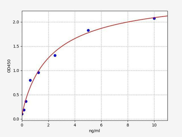 Rat ABCA1/ATP-binding cassette sub-family A member 1 ELISA Kit (RTFI01234)
