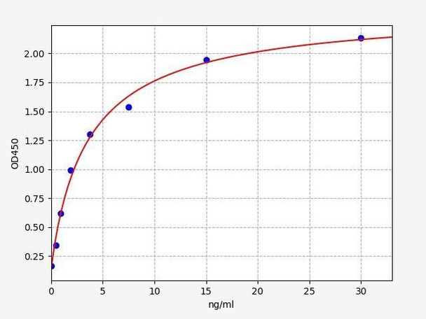Rabbit IgA/Immunoglobulin A ELISA Kit (RBFI00052)