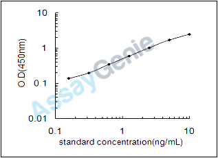 Rat Dihydrofolate reductase (Dhfr) ELISA Kit (RTEB1648)