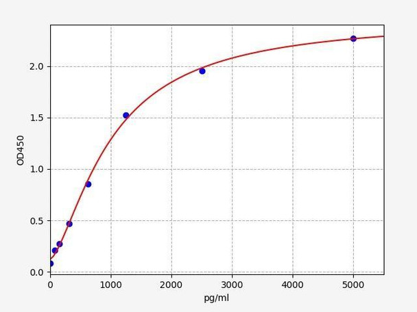 Rat CNDP1 (Beta-Ala-His dipeptidase) ELISA Kit (RTFI01344)