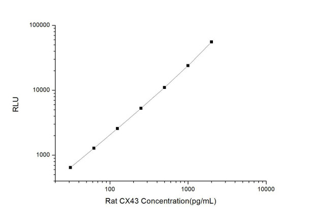 Rat CX43 (Connexin 43) CLIA Kit (RTES00151)