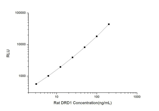 Rat DRD1 (Dopamine Receptor D1) CLIA Kit (RTES00183)