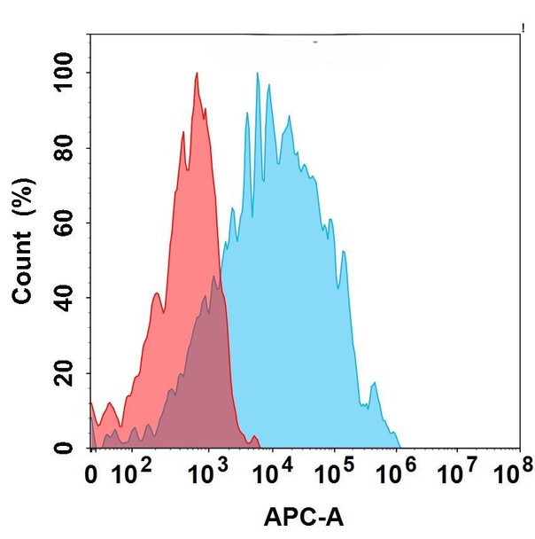 FGFR3 (Vofatamab biosimilar) mAb (HDBS0203)