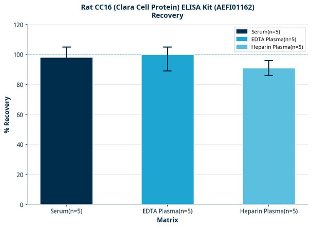 Rat CC16 (Clara Cell Protein) ELISA Kit (AEFI01162)