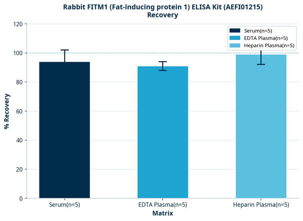 Rabbit FITM1 (Fat-inducing protein 1) ELISA Kit (AEFI01215)