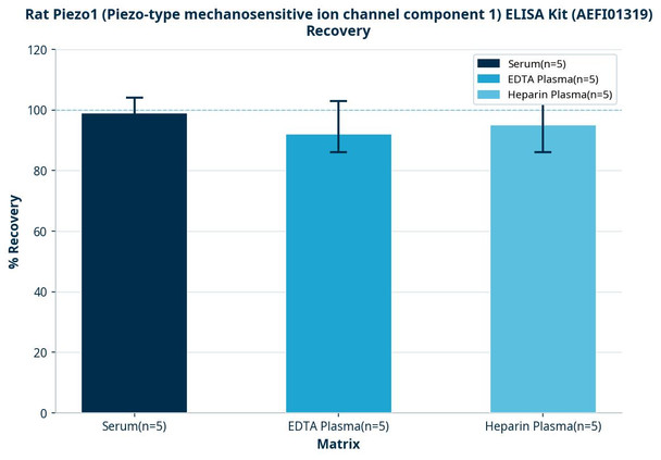 Rat Piezo1 (Piezo-type mechanosensitive ion channel component 1) ELISA Kit (AEFI01319)