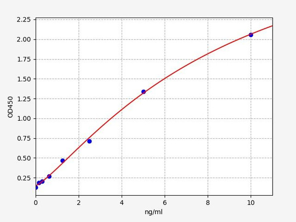 Human smoothelin ELISA Kit (AEFI01476)
