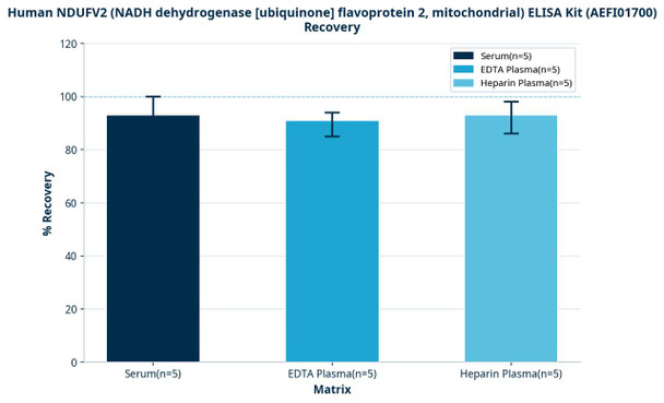 Human NDUFV2 (NADH dehydrogenase [ubiquinone] flavoprotein 2, mitochondrial) ELISA Kit (AEFI01700)