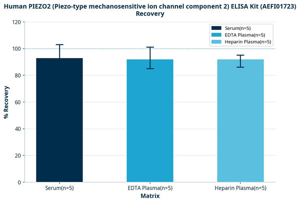 Human PIEZO2 (Piezo-type mechanosensitive ion channel component 2) ELISA Kit (AEFI01723)