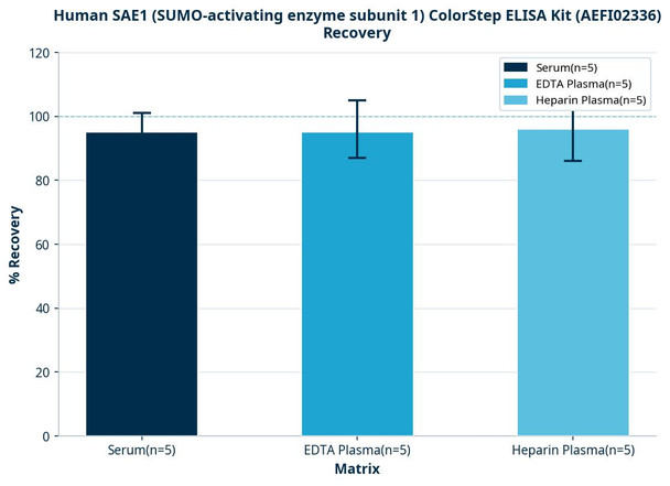 Human SAE1 (SUMO-activating enzyme subunit 1) ColorStep ELISA Kit (AEFI02336)