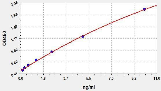 Human DCLK1 ColorStep ELISA Kit (AEFI02583)