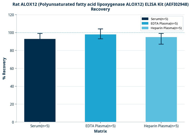 Rat ALOX12 (Polyunsaturated fatty acid lipoxygenase ALOX12) ELISA Kit (AEFI02948)