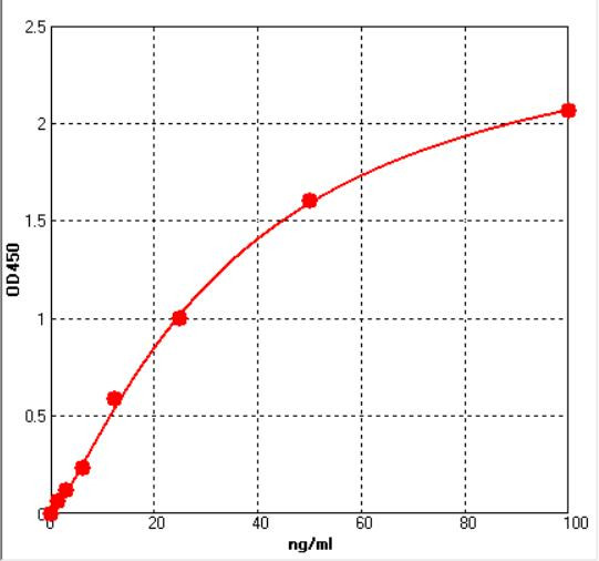 Mouse Aspergillus fumigatus IgE ELISA Kit (AEFI02951)