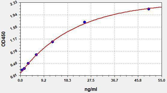 Human Renalase ColorStep ELISA Kit (AEFI03125)