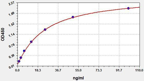 Rat Complement 3d ColorStep ELISA Kit (AEFI03521)