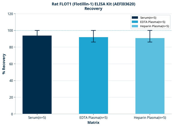 Rat FLOT1 (Flotillin-1) ELISA Kit (AEFI03620)