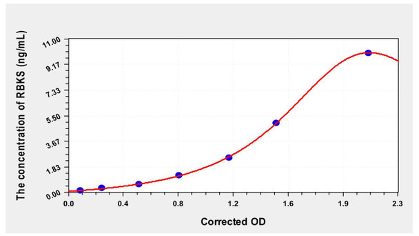 Human RBKS (Ribokinase) ELISA Kit (AEKE00042)