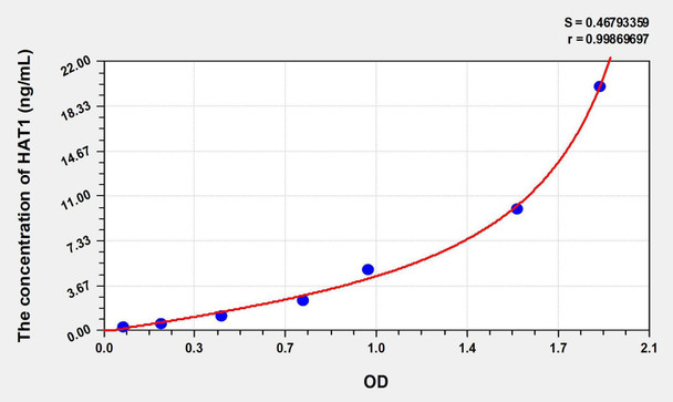 Human HAT1 (Histone Acetyltransferase 1) ELISA Kit (AEKE00865)