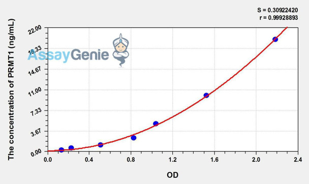 Human PRMT1 (Protein Arginine Methyltransferase 1) ELISA Kit (AEKE01492)