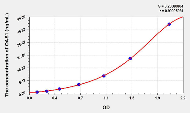 Rat OAS1 (2',5'-Oligoadenylate Synthetase 1) ELISA Kit (AEKE01604)