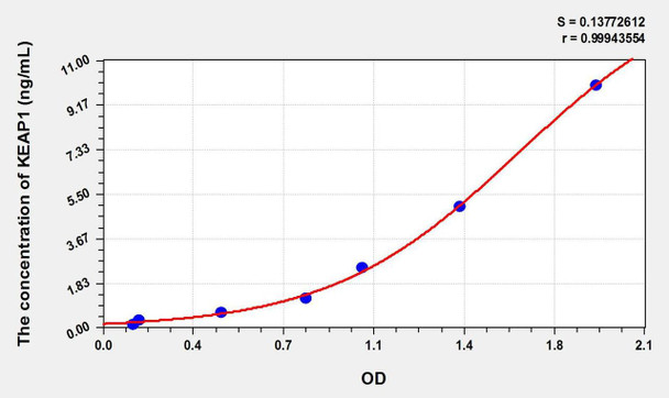 Mouse KEAP1 (Kelch Like ECH Associated Protein 1) ELISA Kit (AEKE02570)