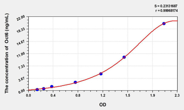 Human Oct6 (Octamer-binding transcription factor 6) ELISA Kit (AEKE02785)