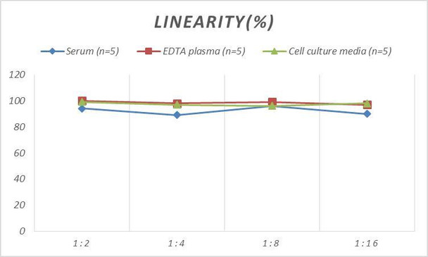Mouse DKK1 (Dickkopf Related Protein 1) ELISA Kit (AEES00791)