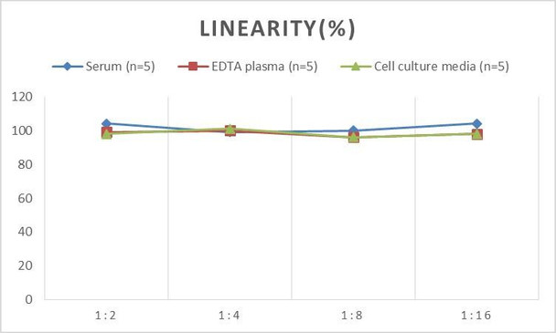 Human CXCL17 (C-X-C motif chemokine 17) ELISA kit (AEES00865)