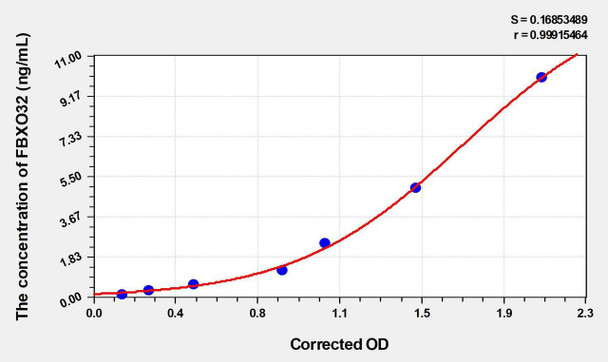 Rat FBXO32 (F-Box Protein 32) ELISA Kit (AEKE05148)