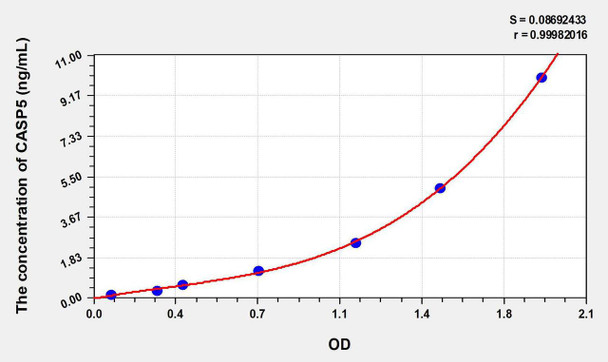 Human CASP5 (Caspase 5) ELISA Kit (AEKE05979)