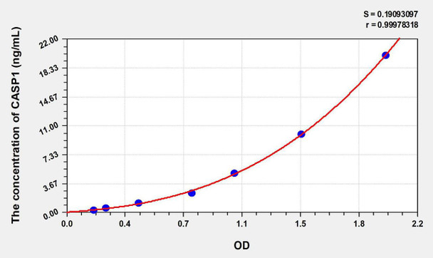 Human CASP1 (Caspase 1) ELISA Kit (AEKE06339)