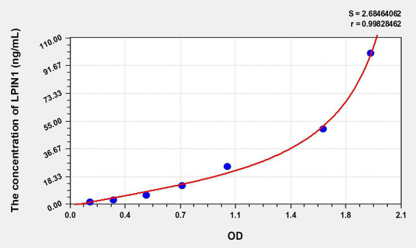Rat LPIN1 (Lipin 1) ELISA (Small Sample Volume) (AEKE09786)